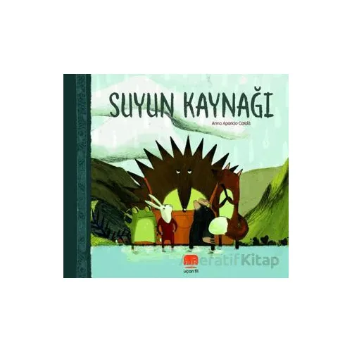 Suyun Kaynağı - Anna Aparicio Catala - Uçan Fil Yayınları