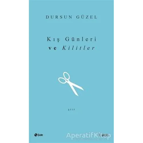 Kış Günleri ve Kilitler - Dursun Güzel - Şule Yayınları