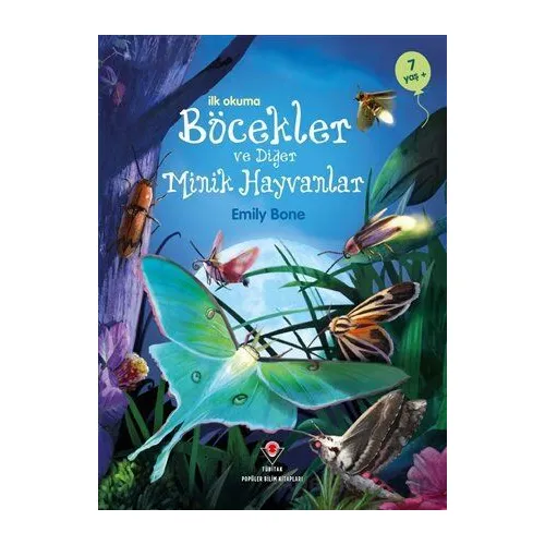 İlk Okuma - Böcekler ve Diğer Minik Hayvanlar - Emily Bone - TÜBİTAK Yayınları