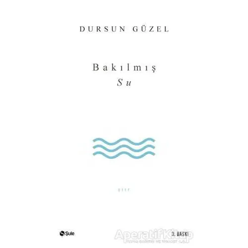 Bakılmış Su - Dursun Güzel - Şule Yayınları