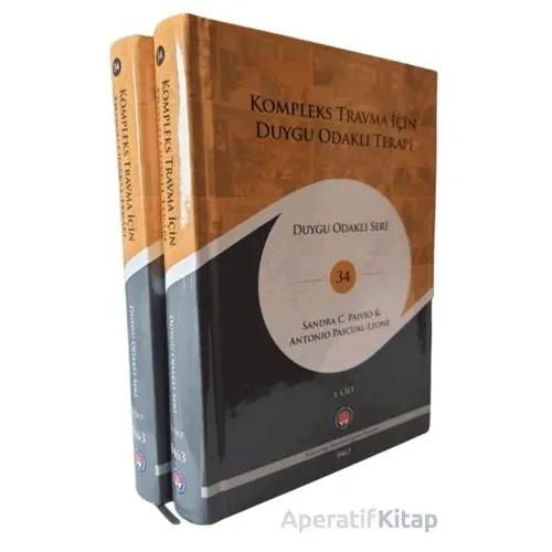 Kompleks Travma için Duygu Odaklı Terapi (2 Cilt) - Sandra C. Paivio - Psikoterapi Enstitüsü