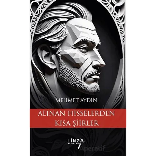 Alınan Hisselerden Kısa Şiirler - Mehmet Aydın - Linza Yayınları