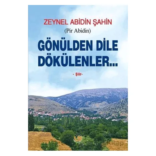 Gönülden Dile Dökülenler - Zeynel Abidin Şahin - Tunç Yayıncılık