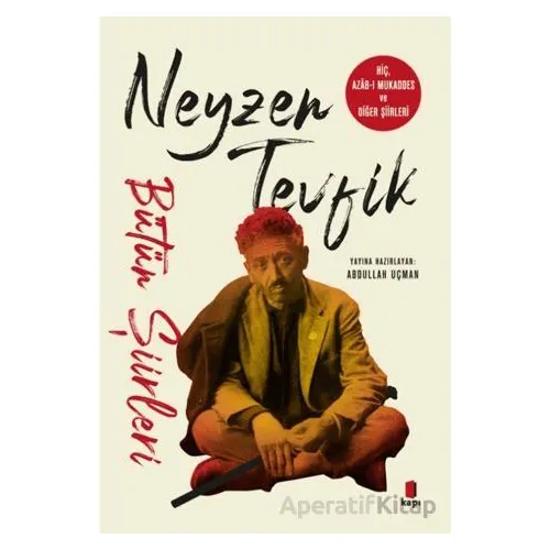 Neyzen Tevfik Bütün Şiirleri - Abdullah Uçman - Kapı Yayınları