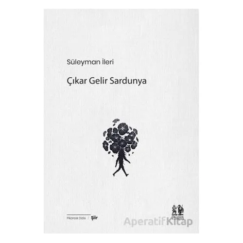Çıkar Gelir Sardunya - Süleyman İleri - Pikaresk Yayınevi