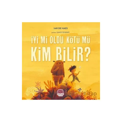 İyi mi Oldu Kötü mü Kim Bilir? - Ian de Haes - Karavan Çocuk Yayınları