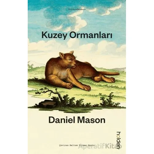 Kuzey Ormanları - Daniel Mason - Holden Kitap