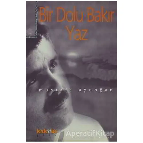 Bir Dolu Bakır Yaz - Mustafa Aydoğan - Kaknüs Yayınları