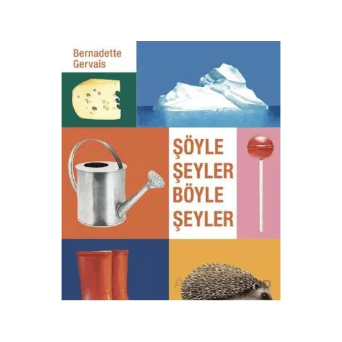 Şöyle Şeyler Böyle Şeyler - Bernadette Gervais - Hep Kitap