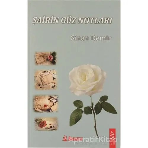 Şairin Güz Notları - Sinan Demir - Dramatik Yayınları