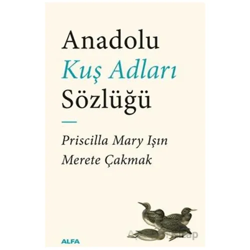 Anadolu Kuş Adları Sözlüğü - Priscilla Mary Işın - Alfa Yayınları