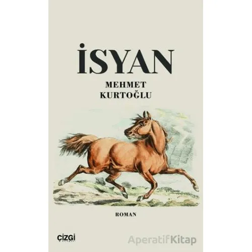 İsyan - Mehmet Kurtoğlu - Çizgi Kitabevi Yayınları