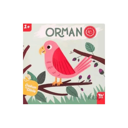 Dokun ve Dinle Sesli Kitabım Orman - Kolektif - Türkiye Diyanet Vakfı Yayınları