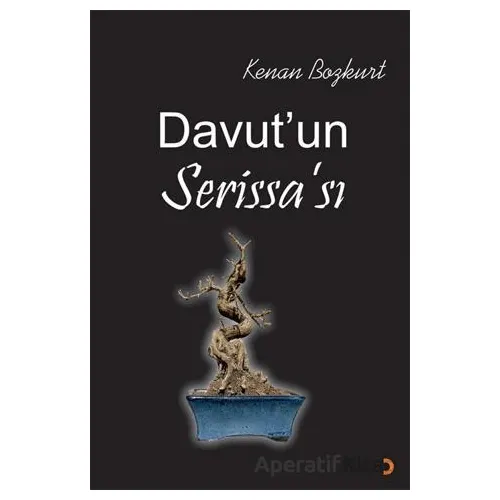 Davut’un Serissa’sı - Kenan Bozkurt - Cinius Yayınları