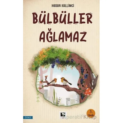 Bülbüller Ağlamaz - Hasan Kallimci - Çınaraltı Yayınları