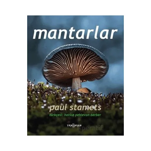 Mantarlar - Paul Stamets - Yeni İnsan Yayınevi