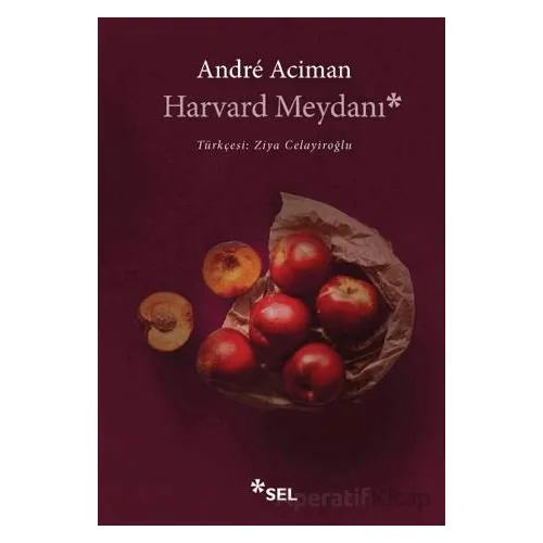 Harvard Meydanı - Andre Aciman - Sel Yayıncılık