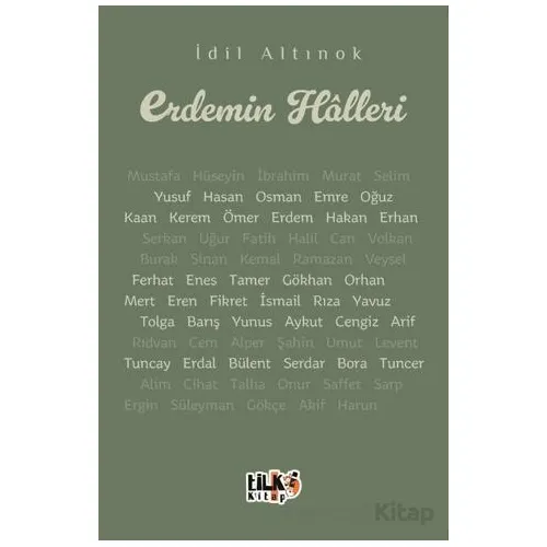 Erdemin Halleri - İdil Altınok - Tilki Kitap