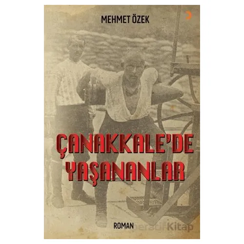 Çanakkale’de Yaşananlar - Mehmet Özek - Cinius Yayınları