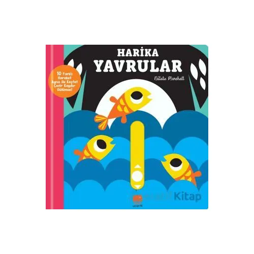Kaydır ve Gülümse Harika Yavrular - Natalie Marshall - Uçan Fil Yayınları
