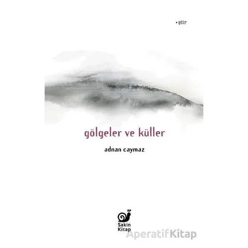 Gölgeler ve Küller - Adnan Caymaz - Sakin Kitap