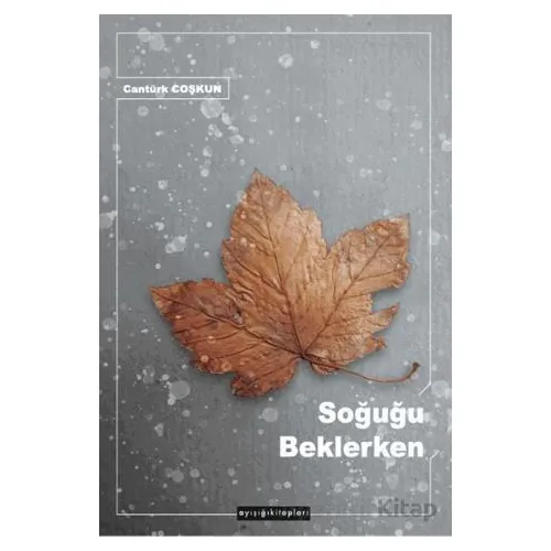 Soğuğu Beklerken - Cantürk Coşkun - Ayışığı Kitapları