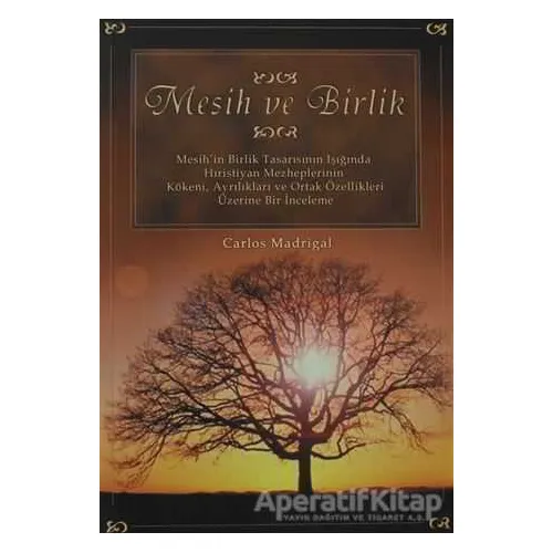 Mesih ve Birlik - Carlos Madrigal - Haberci Basın Yayın