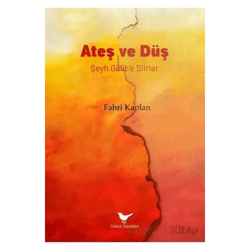 Ateş ve Düş: Şeyh Gâlib’e Şiirler - Fahri Kaplan - Günce Yayınları