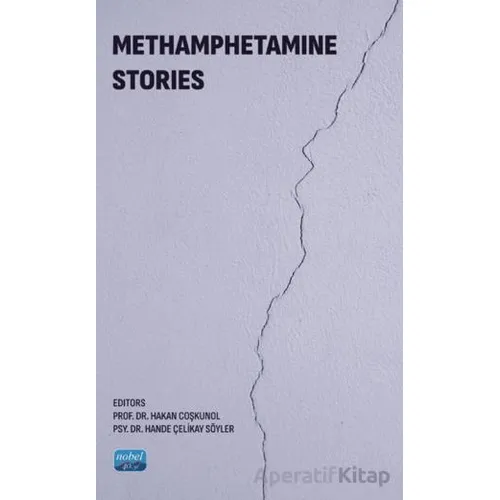 Methamphetamine Stories - Hande Çelikay Söyler - Nobel Akademik Yayıncılık