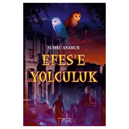 Efese Yolculuk - Sumru Anamur - Sokak Kitapları Yayınları