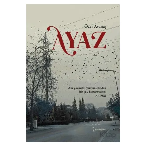 Ayaz - Özer Avanaş - İkinci Adam Yayınları