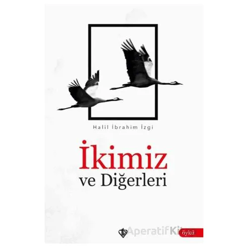İkimiz ve Diğerleri - Halil İbrahim İzgi - Türkiye Diyanet Vakfı Yayınları