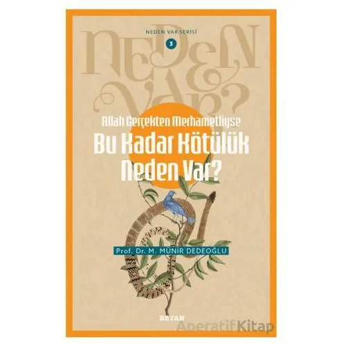 Allah Gerçekten Merhametliyse Bu Kadar Kötülük Neden Var? - M. Münir Dedeoğlu - Beyan Yayınları