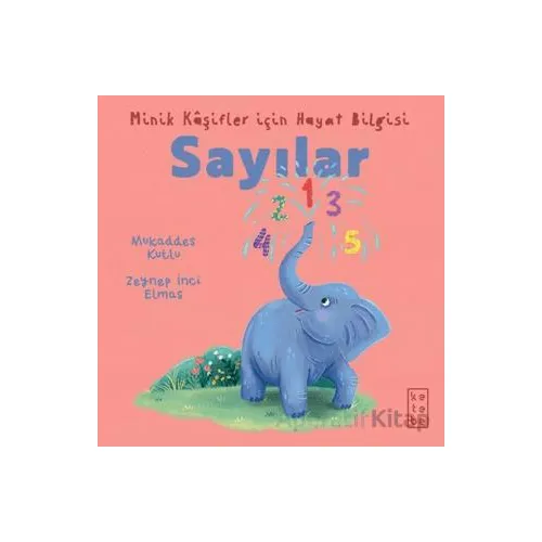 Minik Kâşifler için Hayat Bilgisi - Sayılar - Mukaddes Kutlu - Ketebe Çocuk