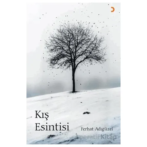 Kış Esintisi - Ferhat Adıgüzel - Cinius Yayınları
