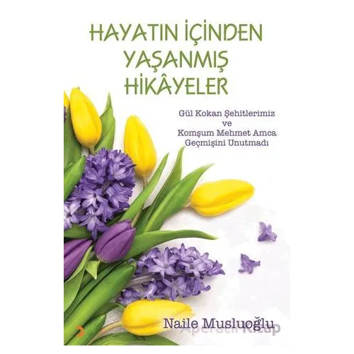 Hayatın İçinden Yaşanmış Hikayeler - Naile Musluoğlu - Cinius Yayınları