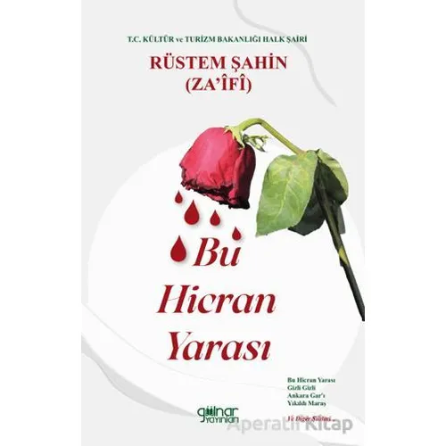 Bu Hicran Yarası - Rüstem Şahin - Gülnar Yayınları