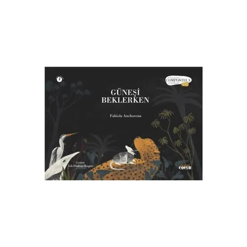 Güneşi Beklerken - Fabiola Anchorena - Nobel Çocuk