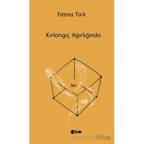 Kırlangıç Ağırlığında - Fatma Türk - Şule Yayınları