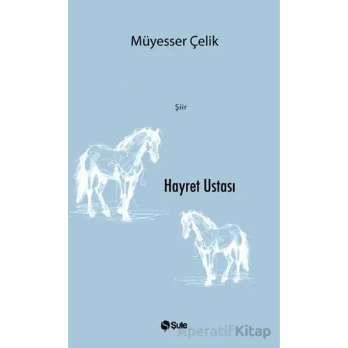 Hayret Ustası - Müyesser Çelik - Şule Yayınları