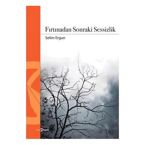 Fırtınadan Sonraki Sessizlik - Selim Ergun - Hayal Yayınları