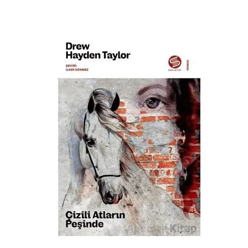 Çizili Atların Peşinde - Hayden Taylor - Sahi Kitap