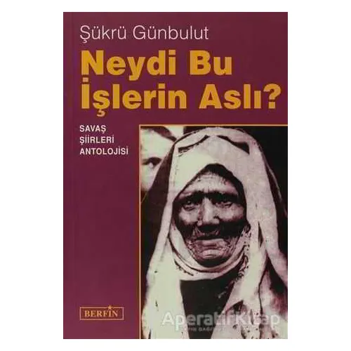 Neydi Bu İşlerin Aslı? - Şükrü Günbulut - Berfin Yayınları