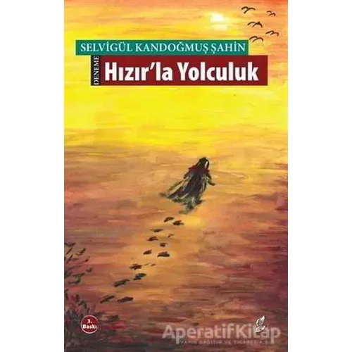 Hızırla Yolculuk - Selvigül Kandoğmuş Şahin - Okur Kitaplığı