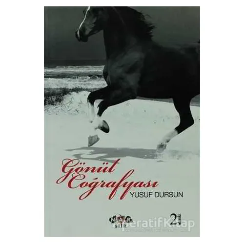Gönül Coğrafyası - Yusuf Dursun - Nar Yayınları