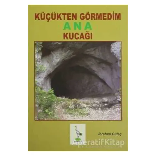 Küçükten Görmedim Ana Kucağı - İbrahim Güleç - Turna Yayınları