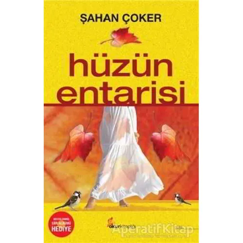 Hüzün Entarisi - Şahan Çoker - Okur Kitaplığı