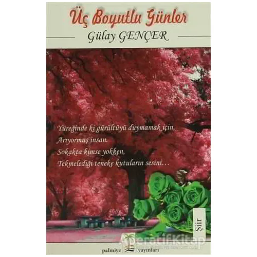 Üç Boyutlu Günler - Gülay Gençer - Palmiye Kitapları