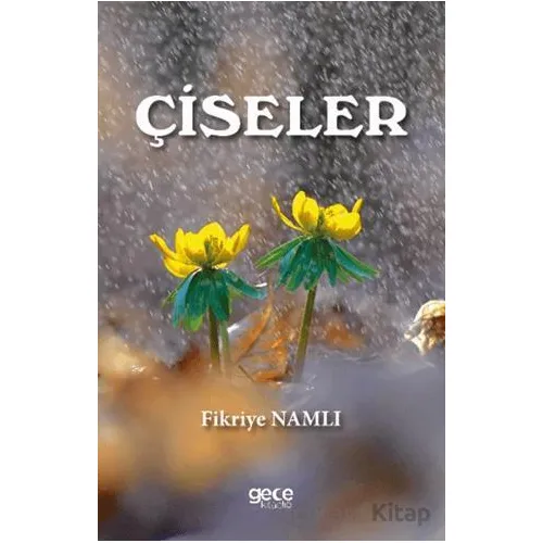 Çiseler - Fikriye Namlı - Gece Kitaplığı