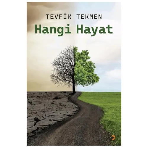 Hangi Hayat - Tevfik Tekmen - Cinius Yayınları